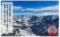 【令和8年産新米予約】【定期便】南魚沼産~新之助~（4kg×12回)【2026年10月中旬より1ヶ月以内に順次発送予定】