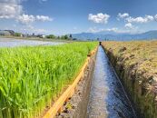 【令和7年産・新米予約・定期便】新潟県南魚沼市の豊かな自然が育んだ、極上のコシヒカリ　5kg×6か月【2025年10月上旬より順次発送予定】