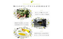 小豆島産100％「純」エキストラバージン（EXV）オリーブオイル120ml（単品）1本