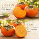 【7・8・10・11月&nbsp;全4回】紀州和歌山産旬のフルーツセット（バレンシア・桃・ひらたねなし柿・富有柿）【UT81】