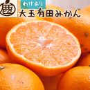 ＜11月中旬～１月下旬発送＞【家庭用】大きな有田みかん約10kg+300g（傷み補償分）【訳あり】【光センサー選果】