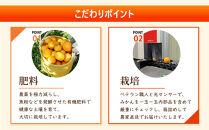 ［先行予約］家庭用&nbsp;大きな有田みかん5kg+250g（傷み補償分）［2026年11月中旬から2027年1月末日頃、順次発送予定］［IKE244］