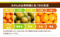 ［先行予約］家庭用&nbsp;大きな有田みかん5kg+250g（傷み補償分）［2026年11月中旬から2027年1月末日頃、順次発送予定］［IKE244］