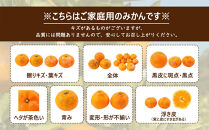 ［先行予約］家庭用&nbsp;大きな有田みかん5kg+250g（傷み補償分）［2026年11月中旬から2027年1月末日頃、順次発送予定］［IKE244］