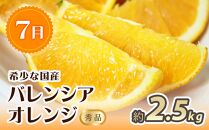 【7・8・10・11月 全4回】紀州和歌山産旬のフルーツセット（バレンシア・桃・ひらたねなし柿・富有柿）【UT81】