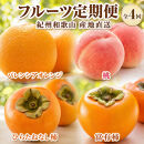 【7・8・10・11月&nbsp;全4回】紀州和歌山産旬のフルーツセット（バレンシア・桃・ひらたねなし柿・富有柿）【UT81】