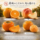 【7・8・10・12月&nbsp;全4回】紀州和歌山産旬のフルーツセット（バレンシア・桃・ひらたねなし柿・みかん）【UT80】