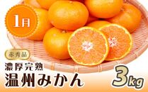 【1・4・7月 全3回】紀州和歌山産旬のフルーツセット（みかん・なつみ・バレンシア）【UT82】