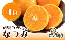 【1・4・7月 全3回】紀州和歌山産旬のフルーツセット（みかん・なつみ・バレンシア）【UT82】
