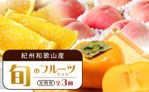【7・8・10月 全3回】紀州和歌山産旬のフルーツセット（バレンシア・桃・ひらたねなし柿）【UT79】