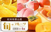【7・8・10・11月 全4回】紀州和歌山産旬のフルーツセット（バレンシア・桃・ひらたねなし柿・富有柿）【UT81】