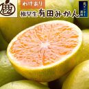 ＜9月より発送＞家庭用　極早生有田みかん5kg+150g（傷み補償分）【YN26・ゆら早生】【わけあり・訳あり】