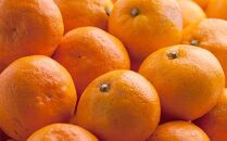 プレミアム 有田みかん5kg+250g（傷み補償分）［2025年10月上旬から2026年1月下旬頃順次発送予定］［IKE250］