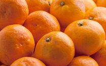 家庭用 有田みかん10kg+250g（傷み補償分）［2025年10月上旬から2026年1月下旬頃順次発送予定］［IKE252］