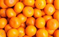 家庭用 小さな有田みかん5kg+250g（傷み補償分）［2025年10月上旬から2026年1月下旬頃順次発送予定］［IKE245］