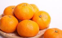 家庭用 大きな有田みかん5kg+250g（傷み補償分）［2025年11月中旬から2026年1月下旬頃順次発送予定］［IKE244］