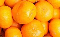 家庭用 大きな有田みかん5kg+250g（傷み補償分）［2025年11月中旬から2026年1月下旬頃順次発送予定］［IKE244］