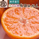 ＜1月より発送＞家庭用　越冬完熟みかん5kg+150g（傷み補償分）【ハウスみかん】【わけあり・訳あり】【光センサー選果】