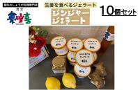 生姜を食べるジェラート10個セット