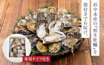 ★先行予約★【4月発送】特選！殻付き生牡蠣 20個【漁師直送！】