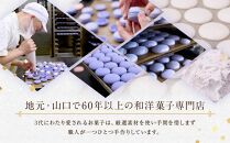 マカロン 18個入 天使がくれたマカロン お菓子