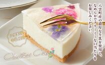 【2025年12月23日着日指定】”食べるブーケ”レアチーズクリスマスケーキ15cm　5号サイズ 1ホール【ケーキ レアチーズケーキ クリスマスケーキ 5号サイズ スイーツギフト スイーツ デザート 冷凍 食品 グルメ お取り寄せ お取り寄せグルメ 八雲町 北海道】