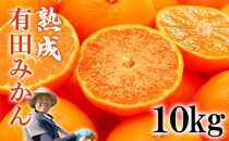 【先行予約】熟成　有田みかん 10kg（約100個）【11月20日以降順次発送】