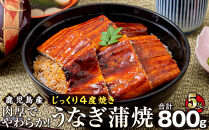 うなぎ&nbsp;蒲焼&nbsp;160g×5尾【鹿児島産】地下水で育てた絶品鰻