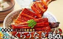 うなぎ 蒲焼 170g×5尾【鹿児島産】地下水で育てた絶品鰻