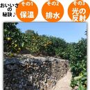 みかん 9kg ＜12月20日までのご注文は年内配送＞ ご家庭用　和歌山県有田川町産　有田みかん ありだみかん