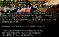 【京都本店&nbsp;つゆしゃぶちりり】2人前&nbsp;近江牛とブランドポークの食べ比べ野菜付き｜つゆしゃぶ&nbsp;セット&nbsp;人気店［&nbsp;京都&nbsp;つゆしゃぶ&nbsp;CHIRIRI&nbsp;京都のブランド豚使用&nbsp;秘伝のつゆ&nbsp;おいしい&nbsp;人気&nbsp;おすすめ&nbsp;豚肉&nbsp;しゃぶしゃぶ&nbsp;お取り寄せ&nbsp;通販&nbsp;送料無料&nbsp;ふるさと納税&nbsp;］