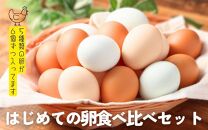 はじめての卵　食べ比べセット 6個×5種類(内割れ保証5個、各種1個づつ)