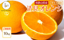 家庭用&nbsp;森本農園の手選別&nbsp;清見オレンジ&nbsp;10kg&nbsp;和歌山県産&nbsp;サイズ混合&nbsp;［北海道・沖縄・離島配送不可］［RN39］［2026年2月上旬から5月中旬頃順次発送予定］