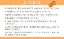 家庭用 森本農園の手選別 清見オレンジ 10kg +200g傷み補償付 和歌山県産 サイズ混合 【北海道・沖縄・離島配送不可】【RN39】