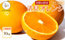 家庭用&nbsp;森本農園の手選別&nbsp;清見オレンジ&nbsp;10kg&nbsp;和歌山県産&nbsp;サイズ混合&nbsp;［北海道・沖縄・離島配送不可］［RN39］［2026年2月上旬から5月中旬頃順次発送予定］