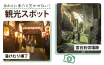 【福井県あわら市】 日本旅行 地域限定旅行クーポン【150,000円分】 ／ 旅行 宿泊 旅館 ホテル 宿泊券 チケット 北陸新幹線 観光 あわら温泉 北陸 福井県 あわら市