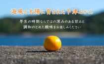 早生みかん 約10kg 大小混合 《ご家庭用》ちょっと訳あり 和歌山県より農園直送！まごころ産直みかん 【北海道・沖縄県・一部離島 配送不可】混合サイズ ミカン 蜜柑 温州みかん わけあり 訳アリ【mg12】