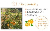 早生みかん 約10kg 大小混合 《ご家庭用》ちょっと訳あり 和歌山県より農園直送！まごころ産直みかん 【北海道・沖縄県・一部離島 配送不可】混合サイズ ミカン 蜜柑 温州みかん わけあり 訳アリ【mg12】