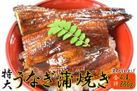 うなぎ蒲焼き4尾入り 880g（蒲焼たれ8袋 山椒付き）【KS9】