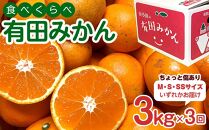 【定期便 全3回】有田みかん ちょっと傷あり 3kg × 3回 コース 食べくらべ 3種 南泰園