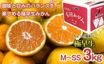 【定期便 全3回】有田みかん ちょっと傷あり 3kg × 3回 コース 食べくらべ 3種 南泰園