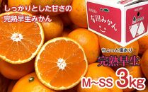 【定期便 全3回】有田みかん ちょっと傷あり 3kg × 3回 コース 食べくらべ 3種 南泰園