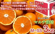 【定期便 全3回】有田みかん ちょっと傷あり 3kg × 3回 コース 食べくらべ 3種 南泰園