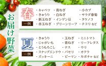 【3ヶ月連続お届け】農家直送 旬の野菜セット 7品目以上 1箱 ／ 定期便 3回 季節 野菜 ボックス BOX セット セレクト 農家 おまかせ 多品目 旬 詰め合わせ 根菜 葉物