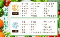 【3ヶ月連続お届け】農家直送 旬の野菜セット 7品目以上 1箱 ／ 定期便 3回 季節 野菜 ボックス BOX セット セレクト 農家 おまかせ 多品目 旬 詰め合わせ 根菜 葉物