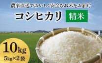 【先行予約】【令和6年産】コシヒカリ 精米 10kg（5kg×2袋）JGAP認証米 / 一等米 福井県産 ブランド米 ご飯 白米 お米 コメ 新鮮 小分け 新米 ※2024年9月下旬より順次発送