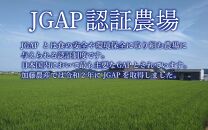 【先行予約】【令和6年産】コシヒカリ 精米 10kg（5kg×2袋）JGAP認証米 / 一等米 福井県産 ブランド米 ご飯 白米 お米 コメ 新鮮 小分け 新米 ※2024年9月下旬より順次発送