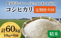 【先行予約】【令和6年産】《定期便6回》コシヒカリ 精米 10kg（5kg×2袋) JGAP認証米 / 一等米 福井県産 ブランド米 ご飯 白米 お米 コメ 新鮮 小分け 定期便 6回 新米 ※2024年9月下旬より順次発送