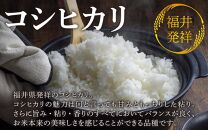 【先行予約】【令和6年産】《定期便6回》コシヒカリ 精米 10kg（5kg×2袋) JGAP認証米 / 一等米 福井県産 ブランド米 ご飯 白米 お米 コメ 新鮮 小分け 定期便 6回 新米 ※2024年9月下旬より順次発送