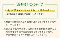 【先行予約】【令和6年産】【ピロール米】ピロール農法のコシヒカリ 精米 10kg（5kg×2袋） / 一等米 福井県産 ブランド米 ご飯 白米 お米 コメ 新鮮 小分け 新米 ※2024年9月下旬より順次発送